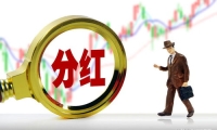 西部证券2024年半年报：归母净利润6